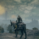 Image for article titled A Very Detailed Review Of Elden Ring's Horse